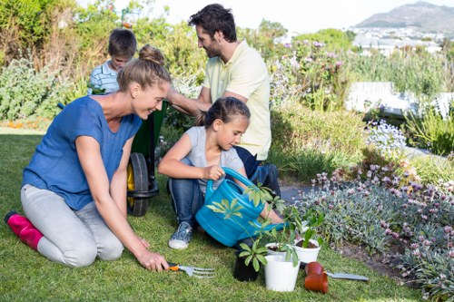 Summer garden care in Cricklewood with vibrant plants