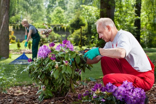 Inspector reviewing a garden during a mid-investigation recheck